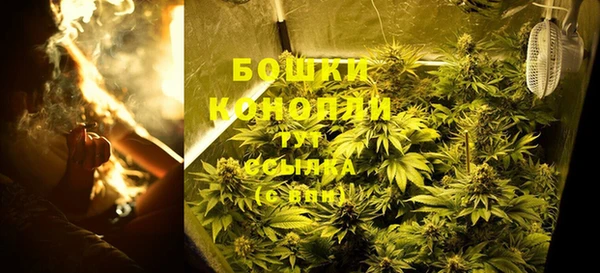 дмт Шадринск