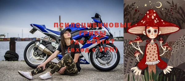 гидра Шали